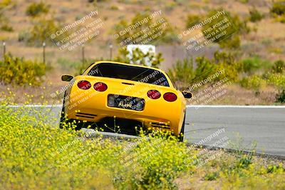 media/May-11-2024-Speed Ventures (Sat) [[6540dbf9cc]]/Red Group/Session 2-Bowl Entrance/